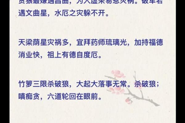 紫薇斗数全集文