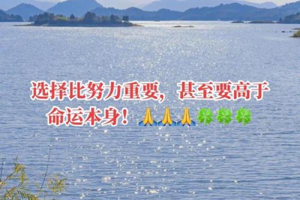影响人生的风水和命运谁更重要
