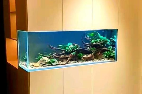 书房里摆放鱼缸养鱼这样风水会好吗