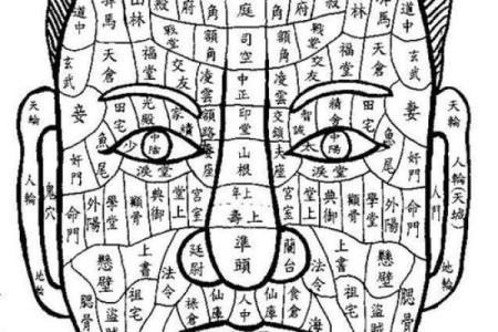 从腿部看相算命