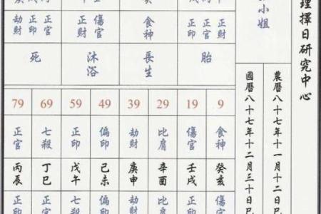 八字排盘详解破解版