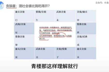 紫薇斗数贪狼化解