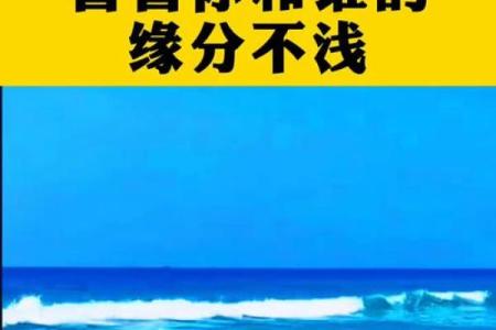测试我和谁的姻缘 测测你和他的缘分？