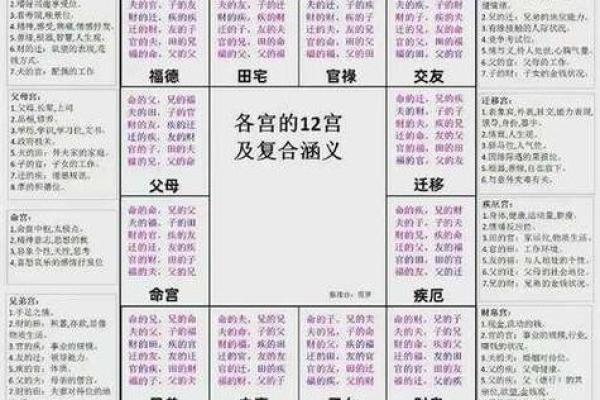 紫薇斗数星身宫