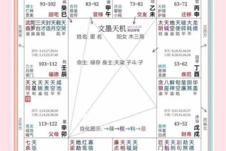 紫薇斗数如何看学历