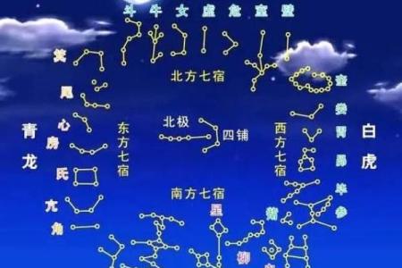 倪海厦紫薇斗数在线排盘