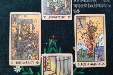 6月塔罗牌复合星座运势