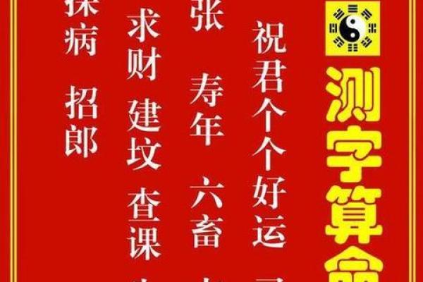 那种算命的牌叫什么