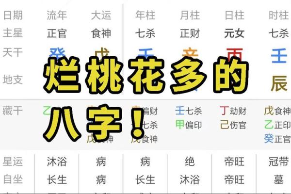 紫微斗数戊子桃花位 戊子日柱女命桃花？