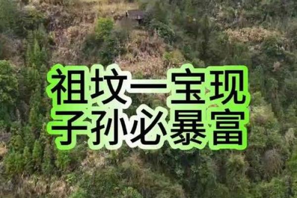 风水师谈祖坟风水好有哪些征兆