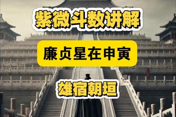 詹惟中紫薇斗数app