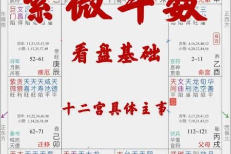 紫薇斗数田宅紫薇