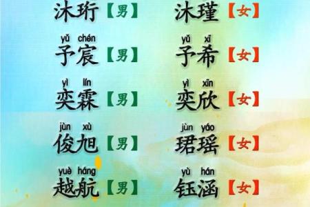 八字免费起名字,起名网生辰八字取名字