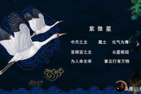 紫微斗数紫薇星