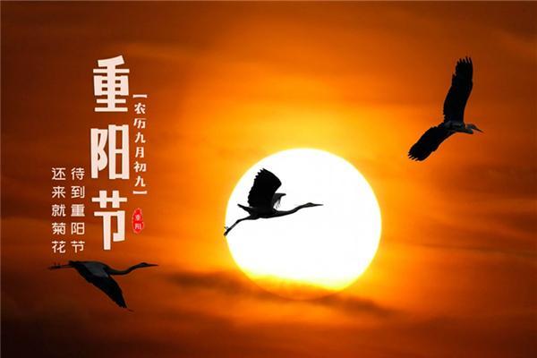 重阳节祭祀风水禁忌，一定要懂
