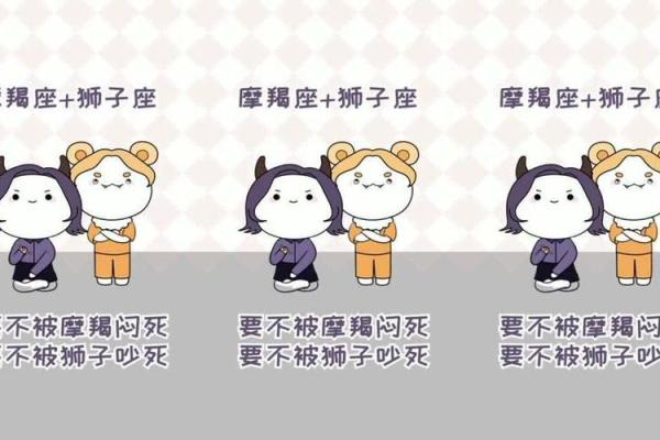 qq如何不显示自己的生日和星座