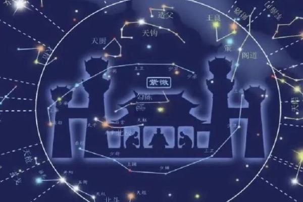 紫薇斗数财阜宫