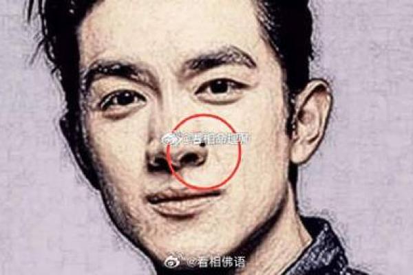 鼻头大的男人面相在风水中有哪些含义