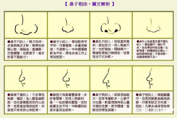 鼻头大的男人面相在风水中有哪些含义