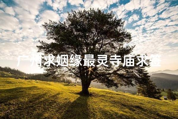 广州求姻缘算命 广州哪里可以求姻缘签？