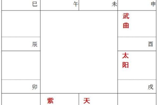 紫薇斗数安星