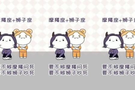 qq如何不显示自己的生日和星座