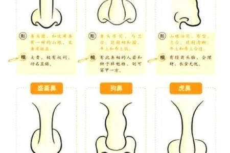 面相八字学：如何看懂一个人的性格与命运？