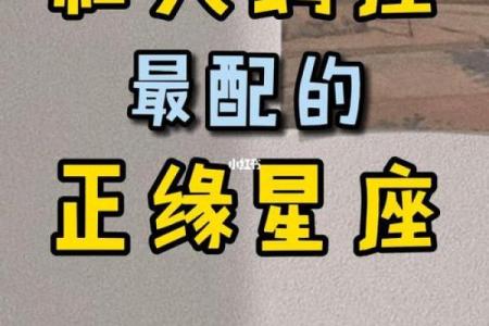 天蝎座最适合做生意的星座
