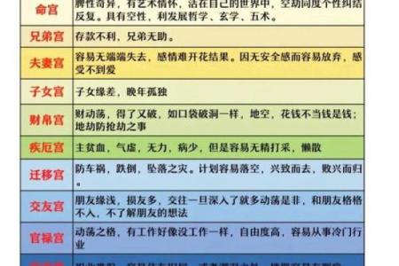 紫薇斗数中左辅右弼