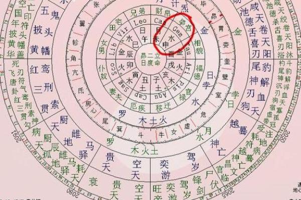 紫薇斗数太阴在戌