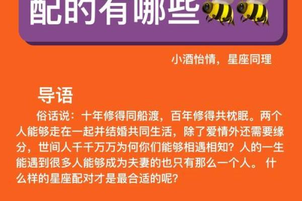 十二星座哪三个人最般配夫妻