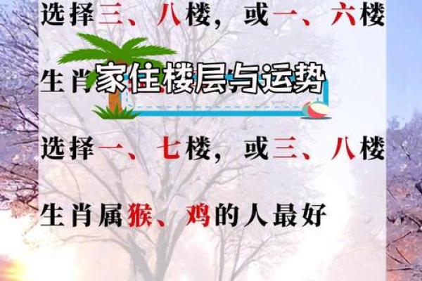 买房9楼属什么房子好风水