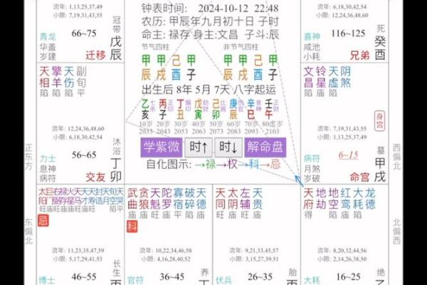 查紫薇斗数
