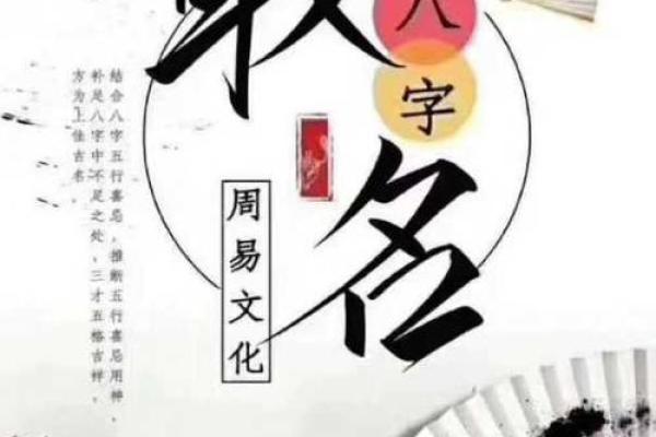 宝宝五行八字起名网