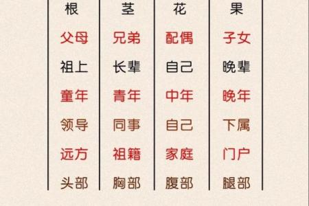 八字四柱代表