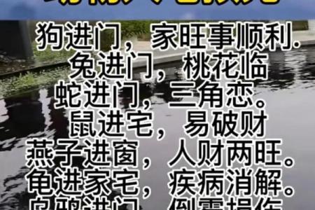 免费算命：八败命易破财