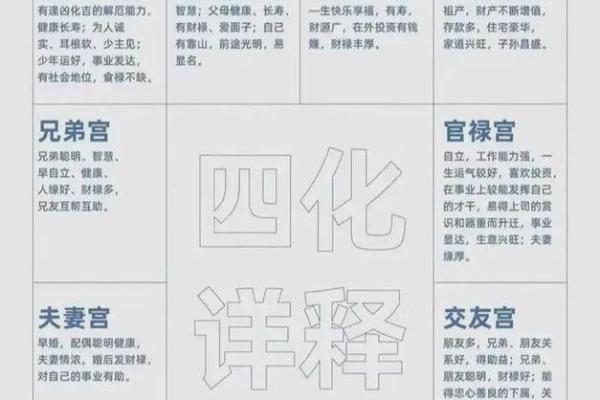 紫薇斗数高人解盘