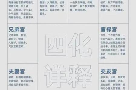 紫薇斗数高人解盘