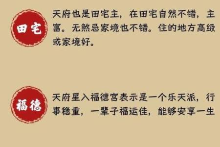 斗数紫薇阁