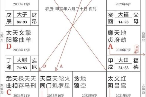 文墨天机紫薇斗数怎么看