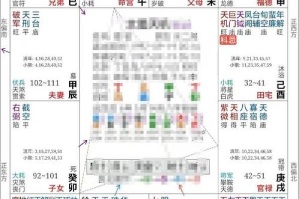 紫薇斗数阳历盘