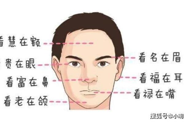 从面相看耳朵，耳朵面相算命图解