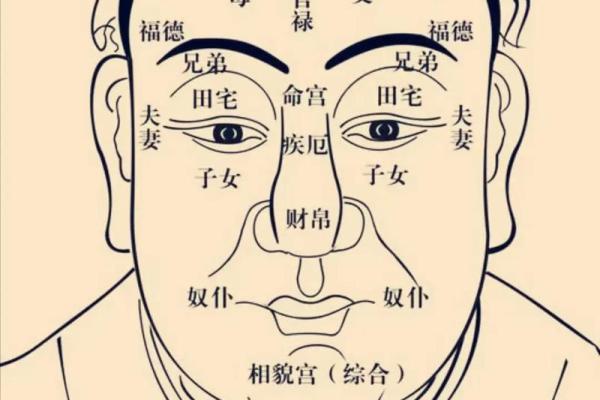 命宫紫薇斗数天巫
