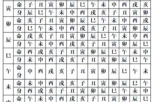 紫薇斗数子午宫