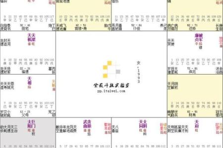 紫薇斗数领袖格局