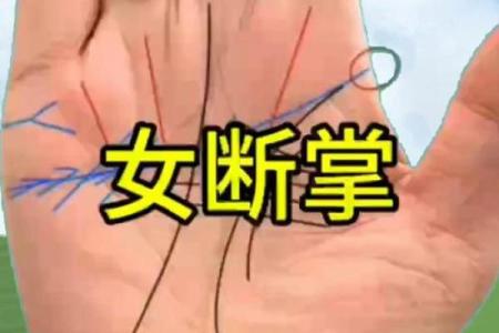 女人断掌手相算命图解