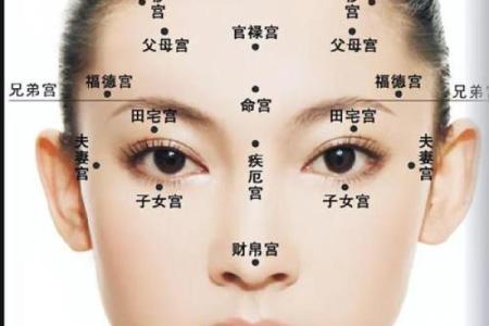 眼相算命图解大全