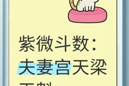 紫薇斗数看感情