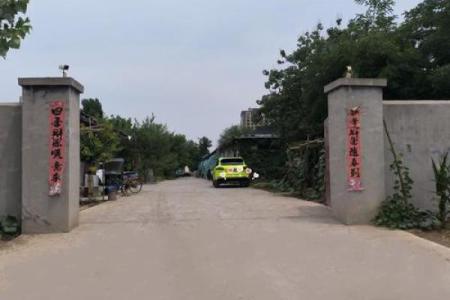 张店傅家镇有个算命的