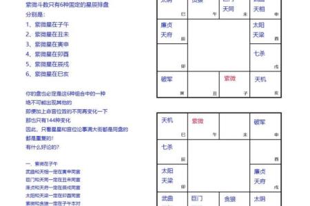 紫薇斗数解析排盘
